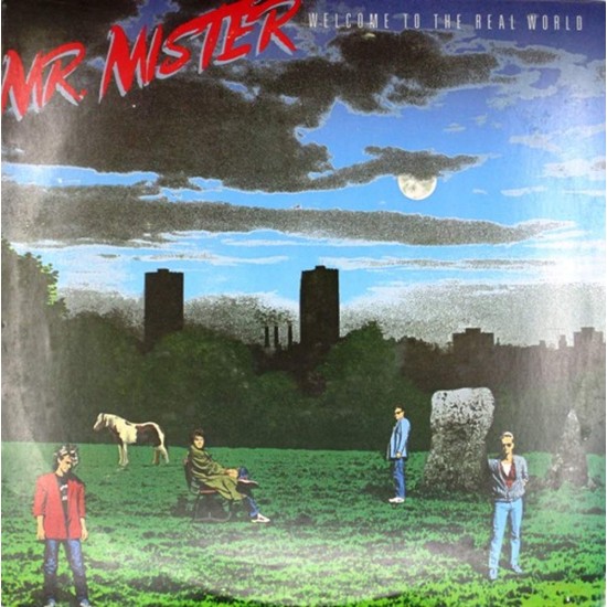 Пластинка Mr. Mister Welcome to the Real World